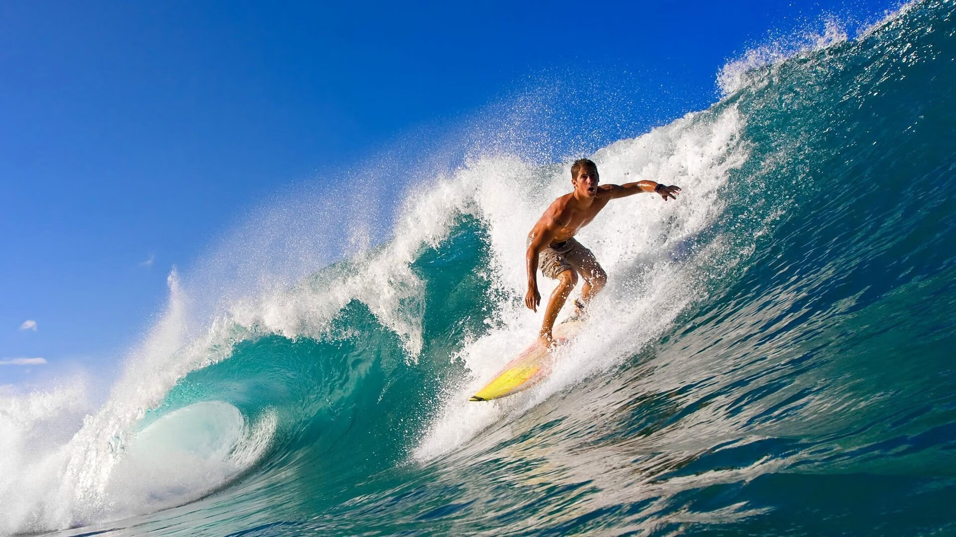 上海马拉松数万人开跑,上海马拉松赛开跑